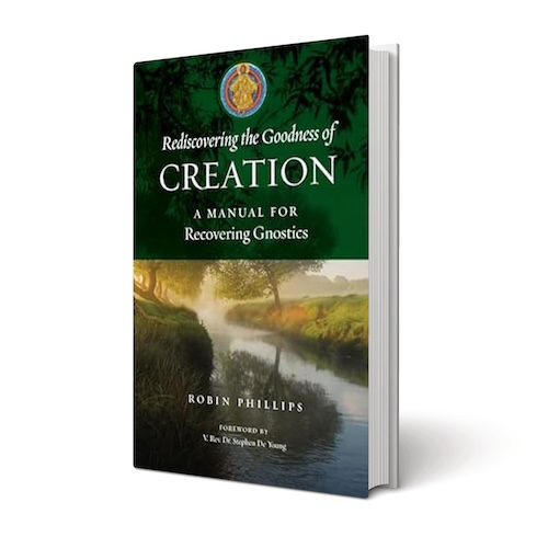 Rediscovering the Goodness of Creation: A Manual for Recovering Gnostics