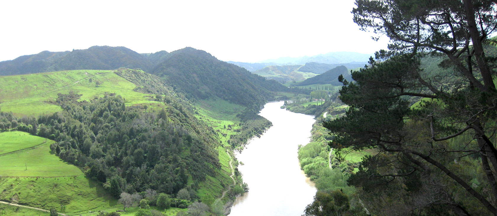 Looking down the verdant Whanganui River in New Zealand